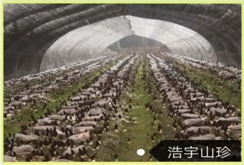 &#20247;&#24425;&#23448;&#32593;&#45;&#40;&#20013;&#22269;&#41;&#32929;&#20221;&#26377;&#38480;&#20844;&#21496;
