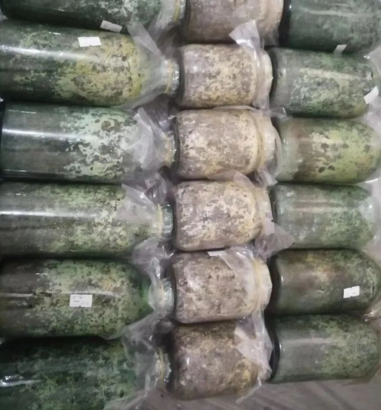 &#20247;&#24425;&#23448;&#32593;&#45;&#40;&#20013;&#22269;&#41;&#32929;&#20221;&#26377;&#38480;&#20844;&#21496;